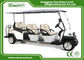 Chinese Electric Golf Cart 6+2 Seater Off Road Golf Cart Hunting Golf Buggy