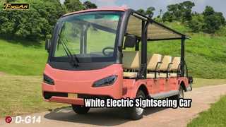 D-G14 White View Электрический экскурсионный автомобиль EXCAR, 72 В, 210 Ач, литиевая батарея